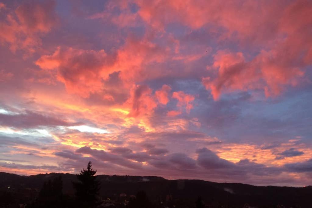 Apartmán Wohlfuehloase Mit Blick Auf Trevír Exteriér fotografie